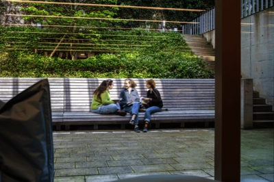 Foto vom Garten in der Bibliothek für Wirtschaftswissenschaften