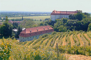 Burg in Lendva - Slowenien